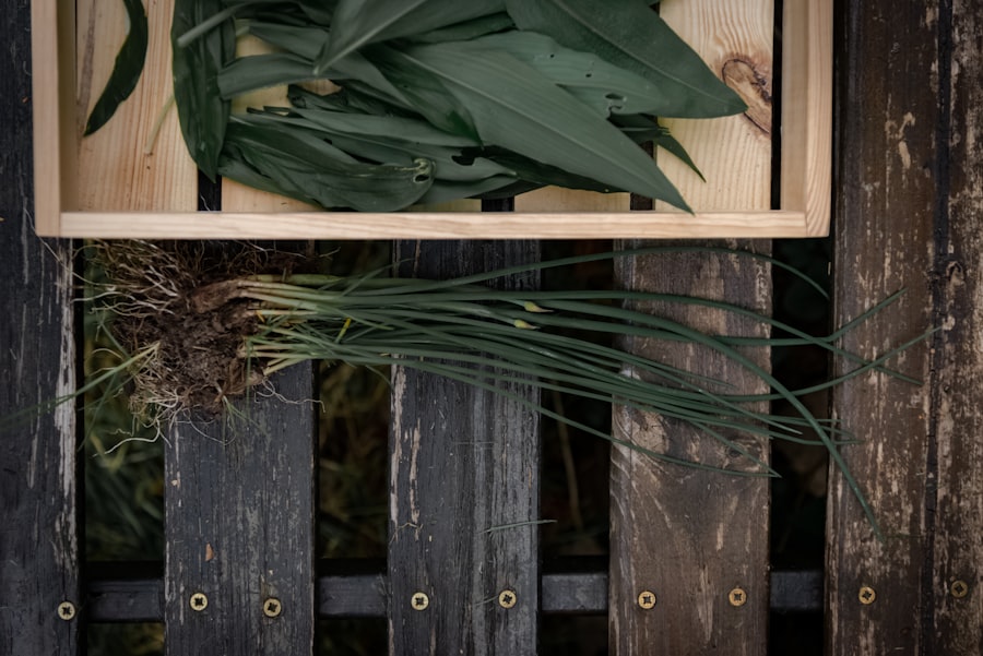 Bamboo kitchen cabinet