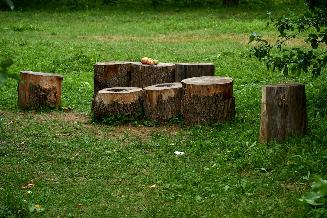 Photo Woodworking projects