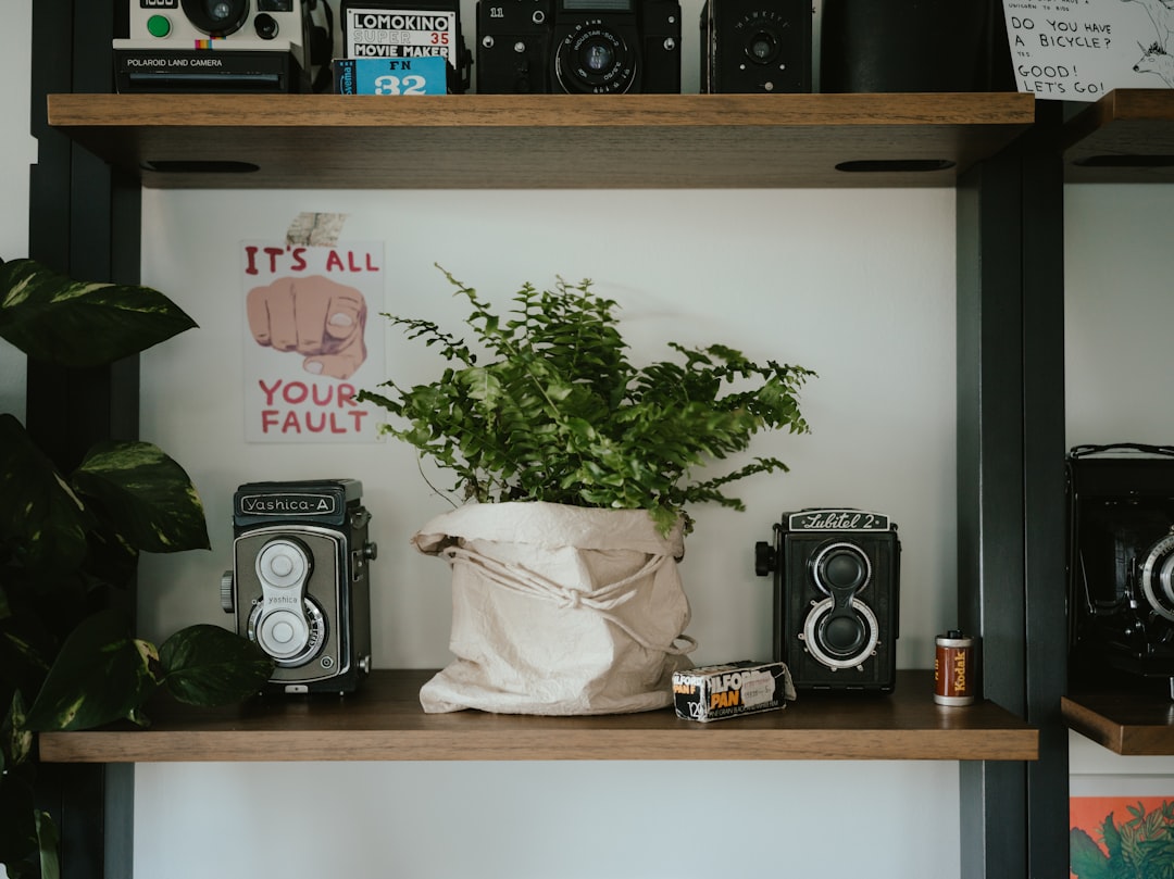 Photo kitchen wall shelf