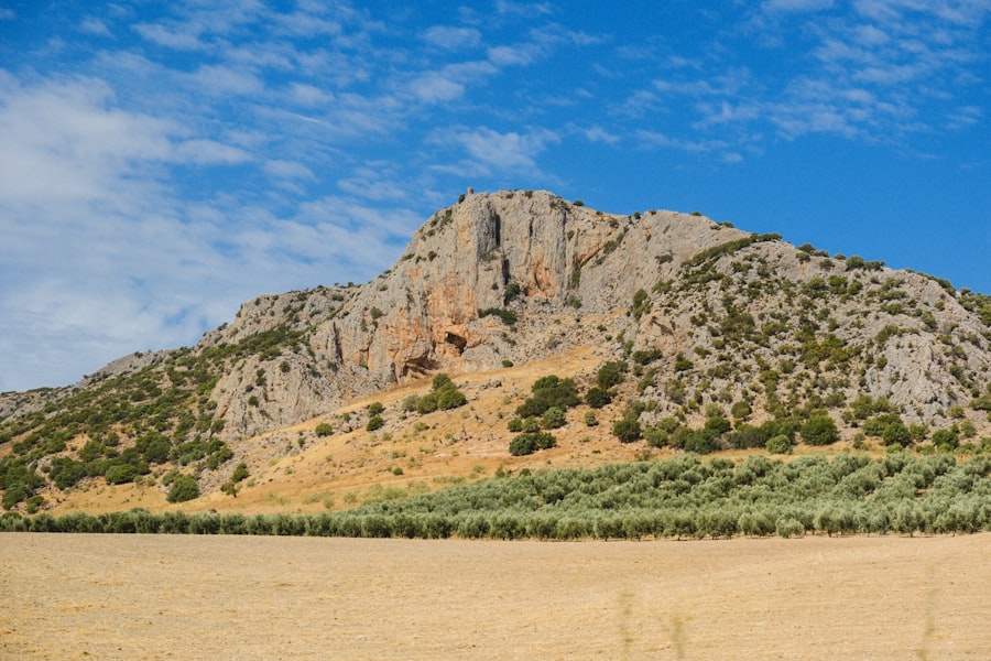 bútorlap