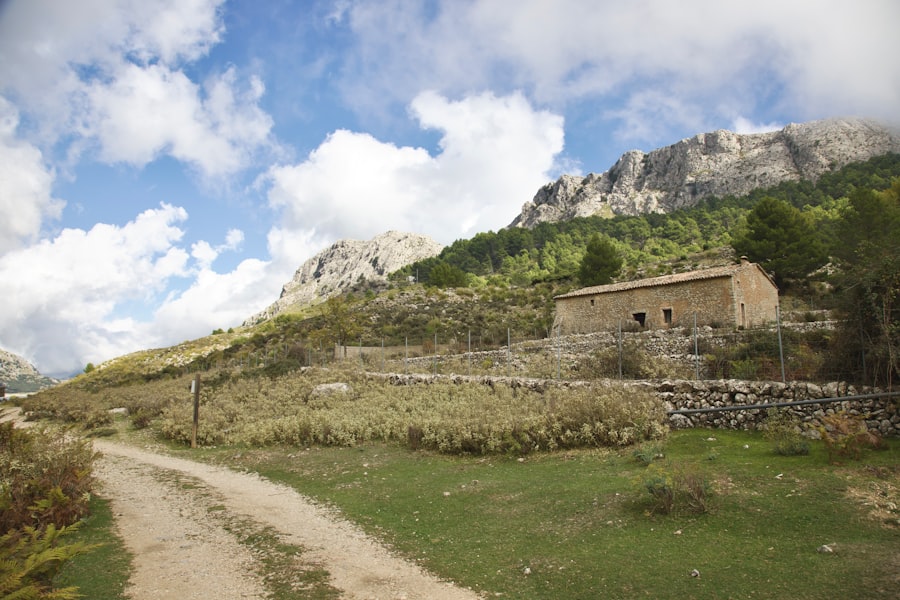 Photo bútorlap
