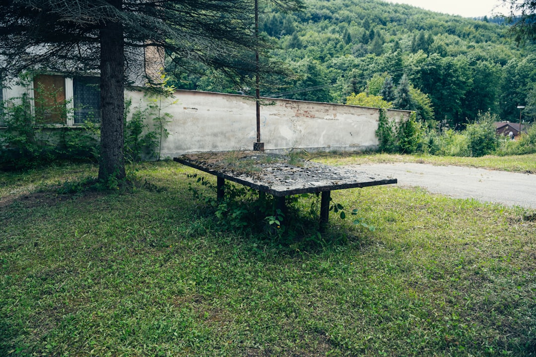 Photo tömörfa asztal