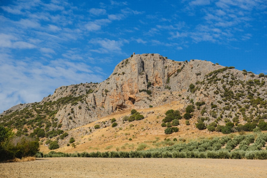Photo bútorlap