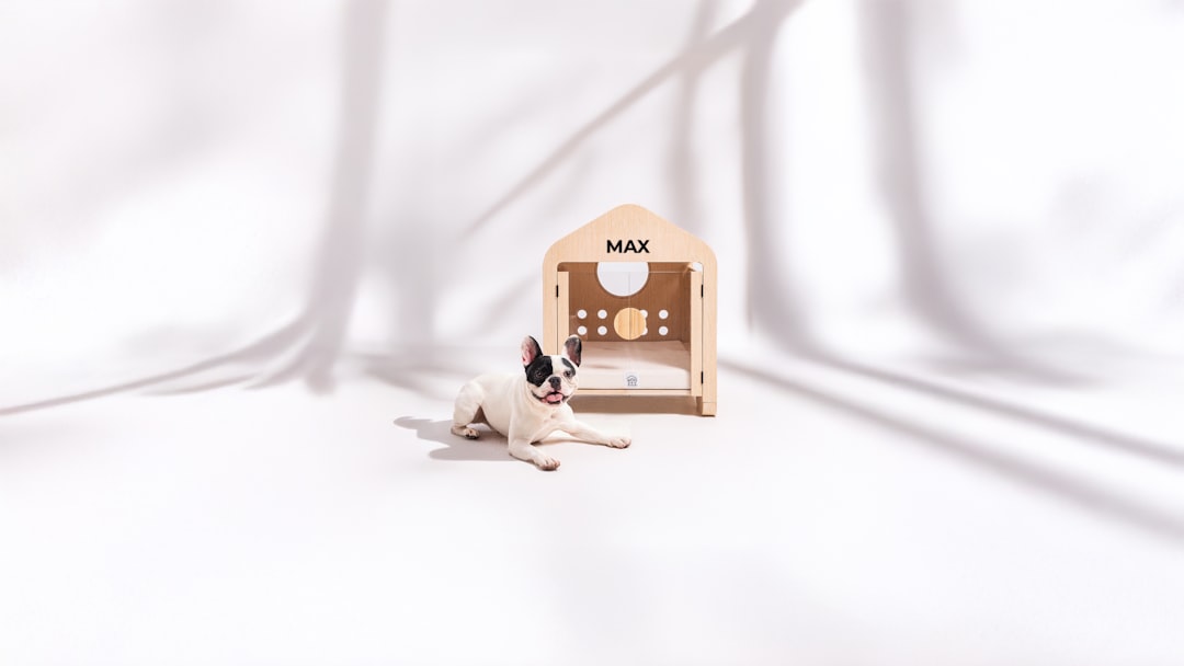 Photo furniture care