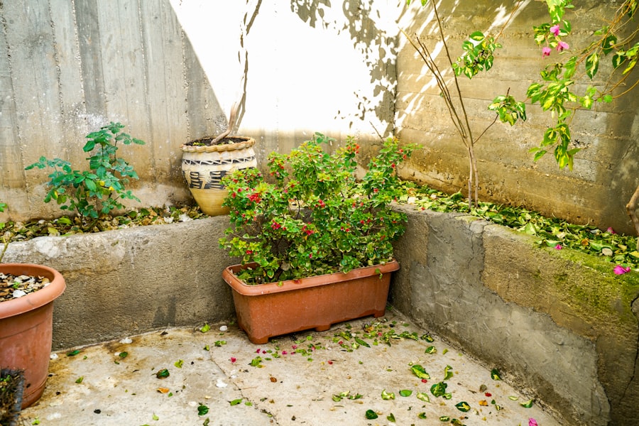 Photo terrace maintenance